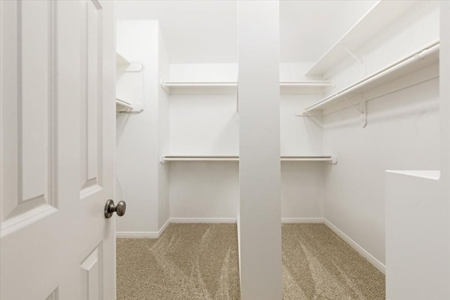 2263 Austin St, Houston, TX 77002 - walk in closet featuring carpet