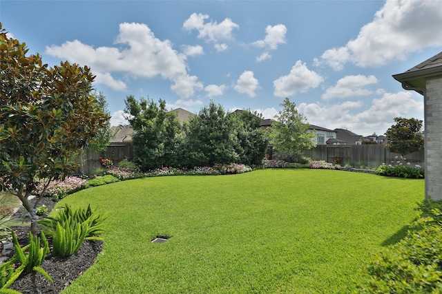 10007 Golden Woods Dr, Missouri City, TX 77459 - photo 41