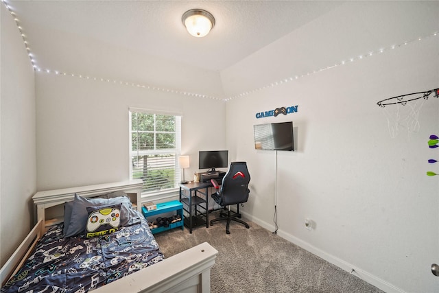 11607 Brookside Arbor Ln, Richmond, TX 77406 - carpeted home office with baseboards