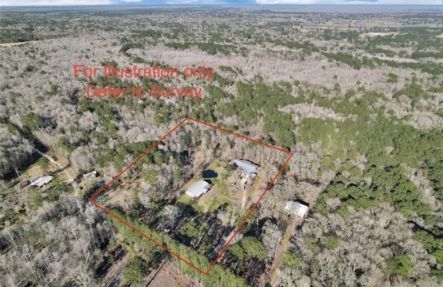 2000 E Beverly Dr, Shepherd, TX 77371 - view of rural area with property boundaries highlighted