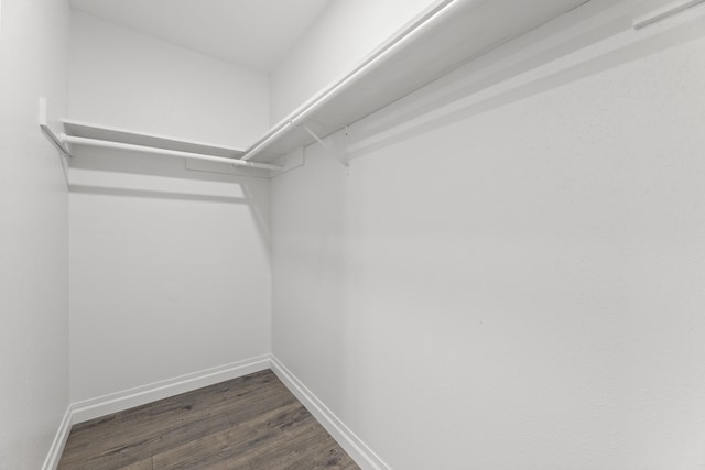 7414 Sunlight Ln, Houston, TX 77095 - walk in closet featuring dark wood-style flooring