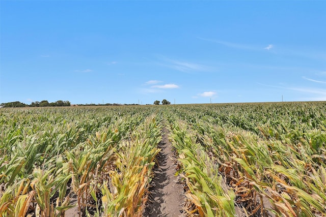 0 US-59 Hwy, El Campo, TX 77437
