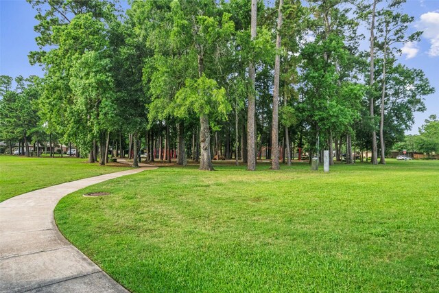17335 Lake Clark Ln, Humble, TX 77346 - photo 23