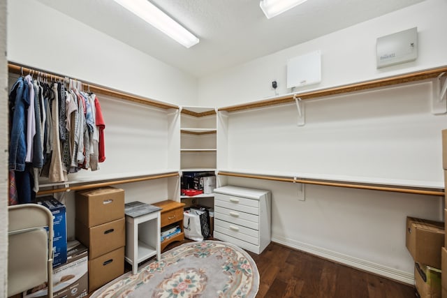 5539 Emerald Pointe Ct, Sugar Land, TX 77479 - walk in closet featuring dark wood finished floors