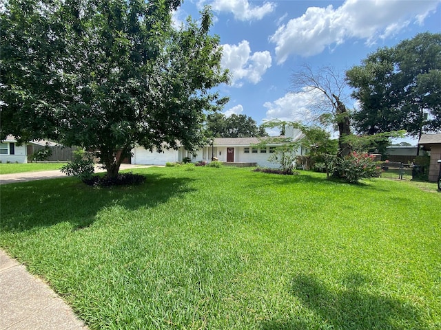 10214 Moorberry Ln, Houston, TX 77043 - view of yard featuring an attached garage and concrete driveway
