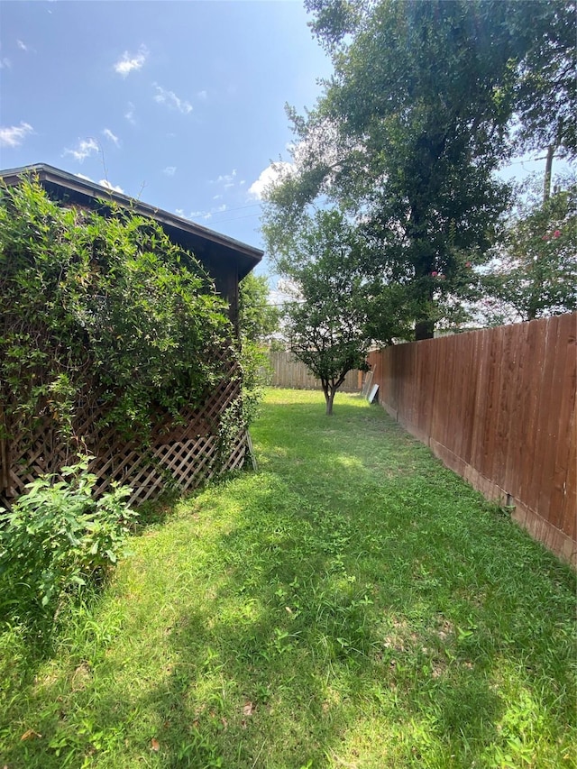 10214 Moorberry Ln, Houston, TX 77043 - view of yard