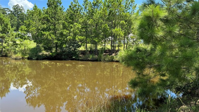 41 Silver Lakes Dr, Huntsville, TX 77340 - photo 6