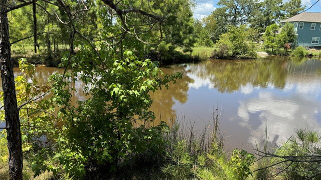 41 Silver Lakes Dr, Huntsville, TX 77340 - photo 2