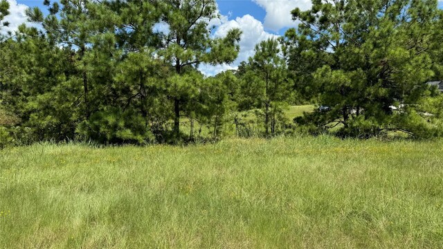 41 Silver Lakes Dr, Huntsville, TX 77340 - photo 3