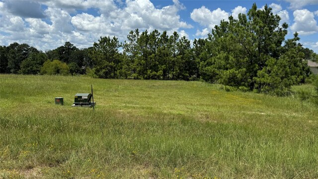 41 Silver Lakes Dr, Huntsville, TX 77340 - photo 4