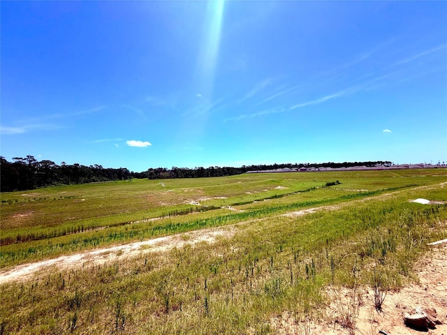 24446 Elmwood Falls Dr, Spring, TX 77373 - view of local wilderness featuring rural landscape