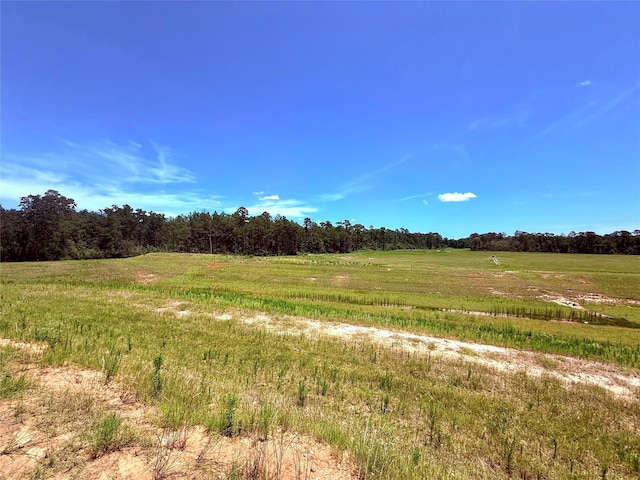 24446 Elmwood Falls Dr, Spring, TX 77373 - view of woods featuring a rural view