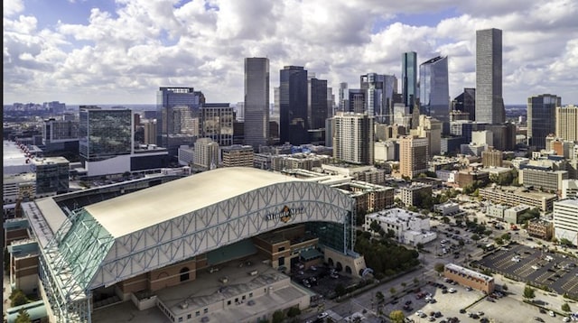 2745 Providence St, Houston, TX 77020 - view of city skyline