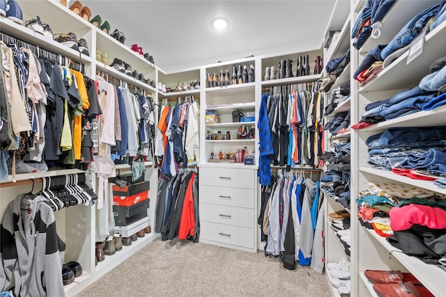 1420 Palomino Trl, Angleton, TX 77515 - walk in closet featuring carpet floors
