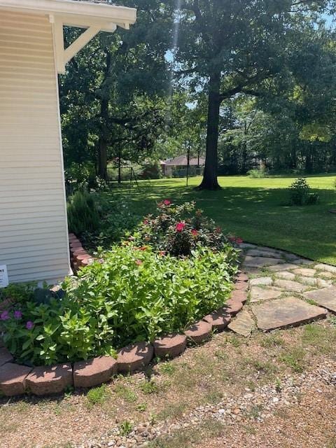 2114 E Lufkin Ave, Lufkin, TX 75901 - view of grassy yard with view of scattered trees