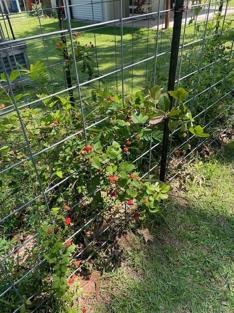 2114 E Lufkin Ave, Lufkin, TX 75901 - view of grassy yard