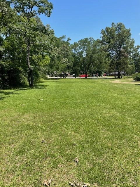 2114 E Lufkin Ave, Lufkin, TX 75901 - view of property's community featuring a lawn