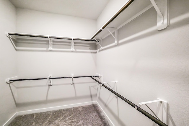 1203 Wildflower Way Dr, Beasley, TX 77417 - walk in closet featuring dark colored carpet