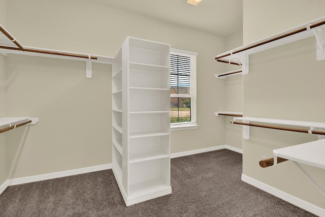 12406 Fort Isabella Ct, Tomball, TX 77375 - spacious closet with dark carpet