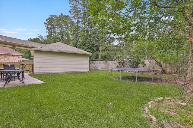 2907 Silverberry Trl, Houston, TX 77345 - view of yard with a trampoline and a patio area