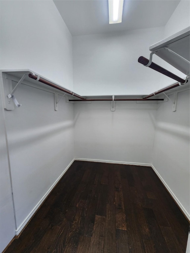13705 Rainwater Dr, Pearland, TX 77584 - walk in closet with hardwood / wood-style flooring