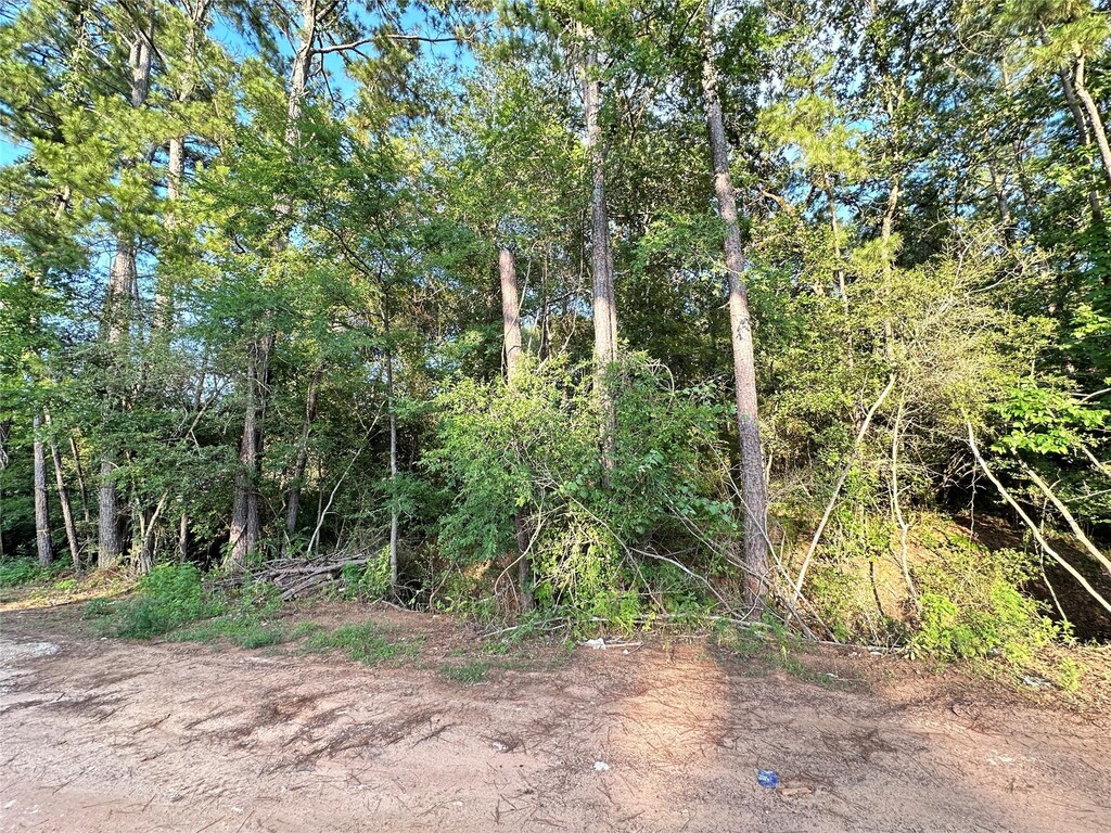 0 Scarlet Oak Dr, Plantersville, TX 77363 - photo 1