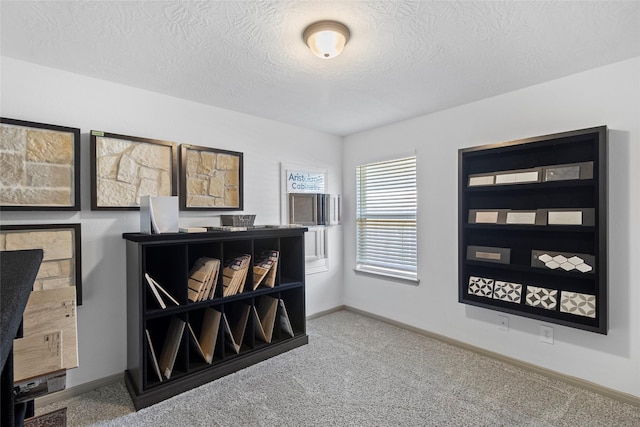 204 Shoreview Dr, Conroe, TX 77303 - carpeted home office featuring a textured ceiling and baseboards