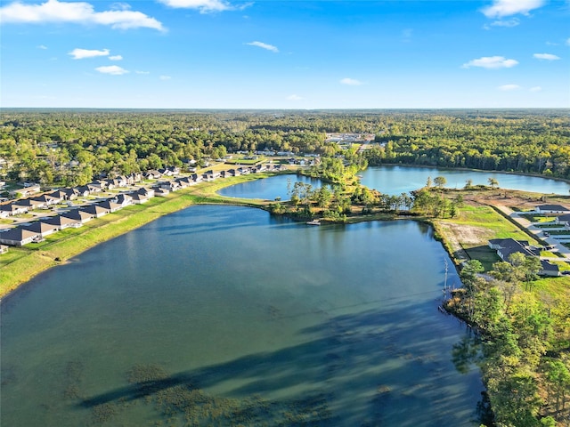 204 Shoreview Dr, Conroe, TX 77303 - aerial view of residential area featuring a forest and a large body of water
