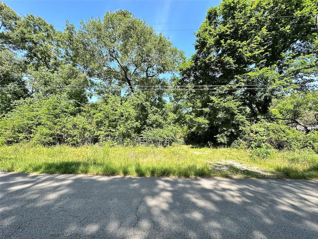 LOT4 Crystalwood Estates Dr, New Caney, TX 77357