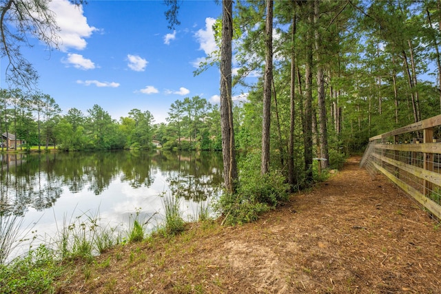 28026 Chuckwagon Trl, Magnolia, TX 77355 - water view with a heavily wooded area