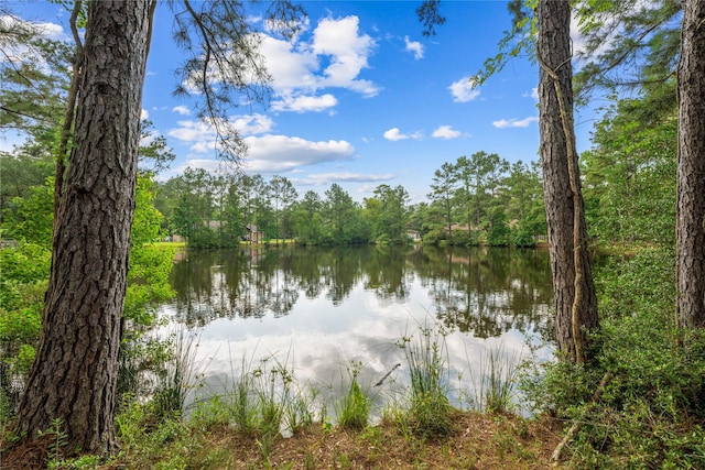 28026 Chuckwagon Trl, Magnolia, TX 77355 - water view with a heavily wooded area