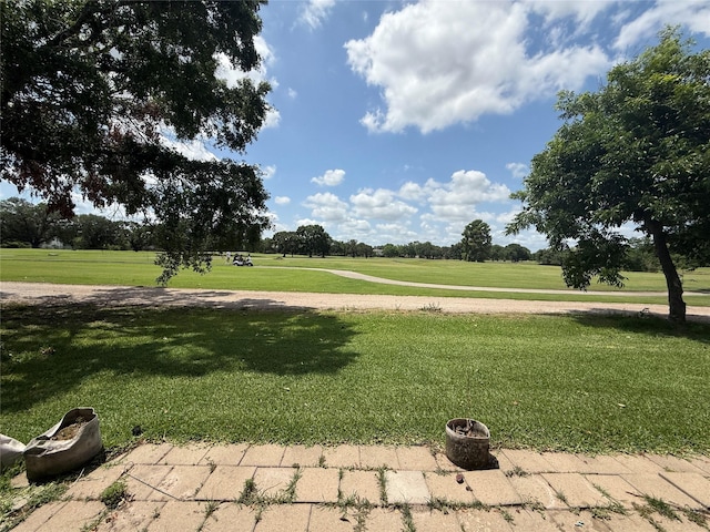 8149 Sands Point Dr Unit 113, Houston, TX 77036 - surrounding community featuring a lawn