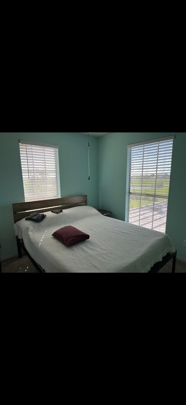 5291 County Road 469, Brazoria, TX 77422 - photo 10