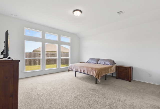 23014 Blackstone Park Rd, Katy, TX 77493 - bedroom featuring carpet flooring and lofted ceiling