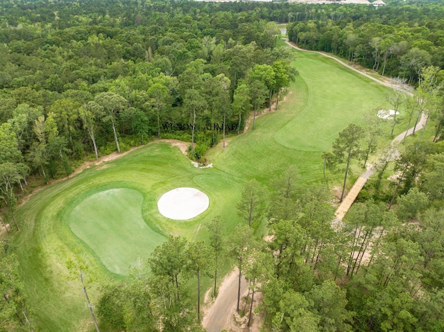 21514 Lost Valley Ln, Porter, TX 77365 - bird's eye view of a golf course