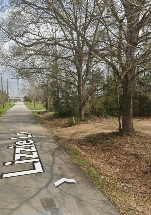 910 Lizzie Ln, Tomball, TX 77375
