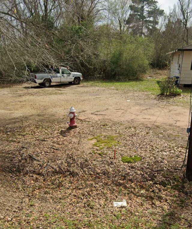 910 Lizzie Ln, Tomball, TX 77375