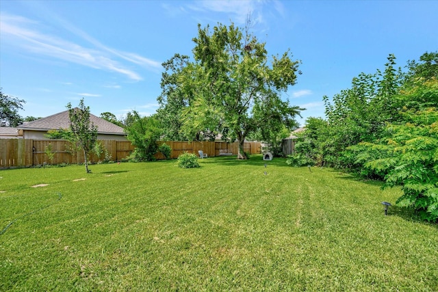 3602 Garrettsville Dr, Pearland, TX 77584 - view of yard