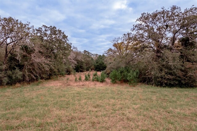 0000 S US Highway 287, Crockett, TX 75835 - photo 38