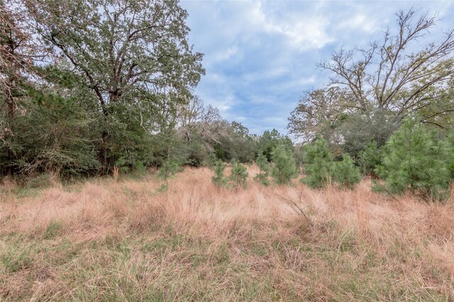 0000 S US Highway 287, Crockett, TX 75835 - photo 46