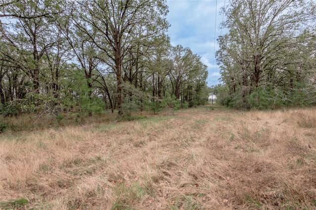 0000 S US Highway 287, Crockett, TX 75835 - photo 14