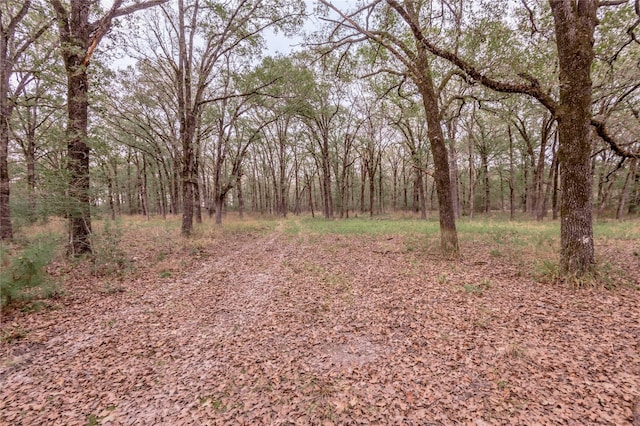 0000 S US Highway 287, Crockett, TX 75835 - photo 15