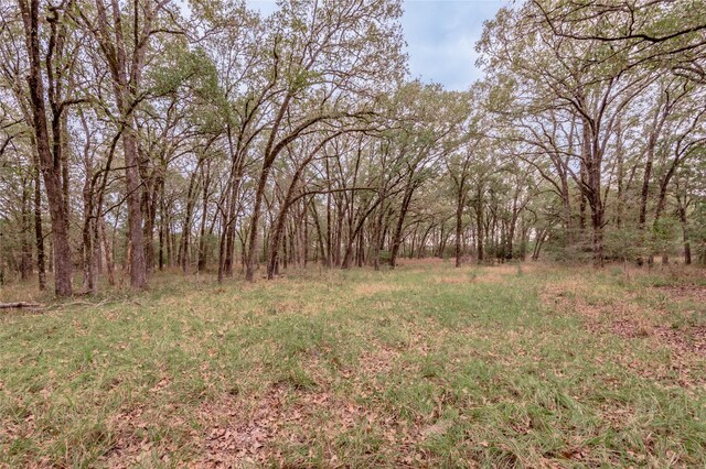 0000 S US Highway 287, Crockett, TX 75835 - photo 17