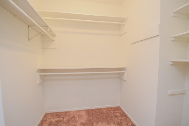 3 Lazybrook St, Angleton, TX 77515 - spacious closet with carpet