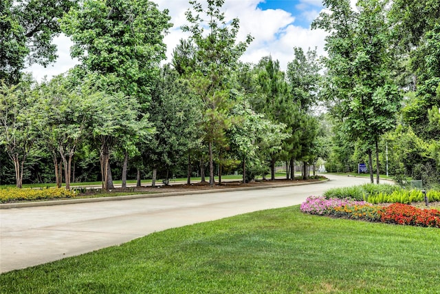 3054 Mallorca Dr, Conroe, TX 77301 - view of community with concrete driveway, a yard, and view of scattered trees