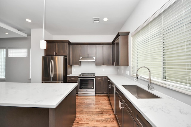 310 Eado Park Cir, Houston, TX 77020 - kitchen featuring appliances with stainless steel finishes, a sink, under cabinet range hood, dark brown cabinetry, and light wood-style flooring