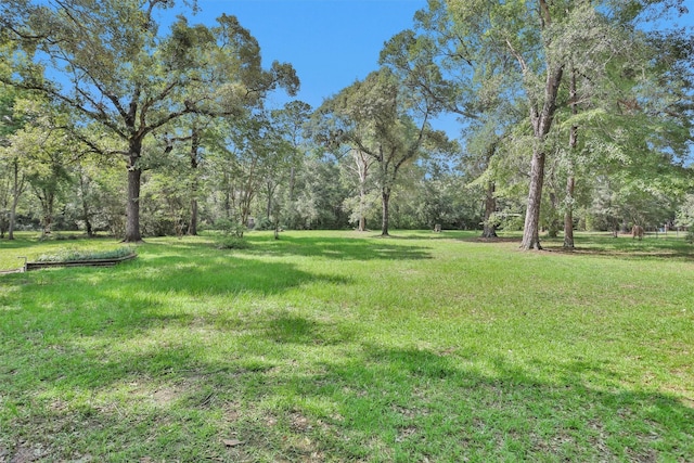 5614 Whipporwill Rd, Conroe, TX 77303 - view of grassy yard
