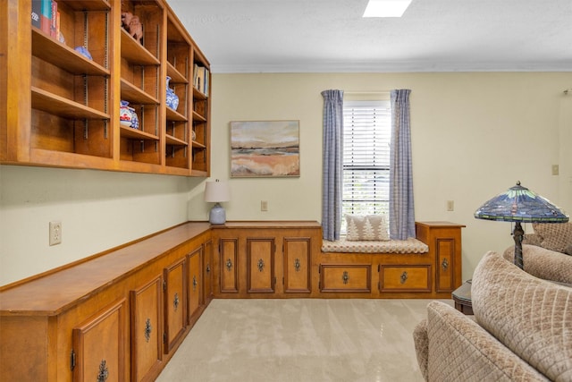 5614 Whipporwill Rd, Conroe, TX 77303 - sitting room with light carpet, wainscoting, and ornamental molding