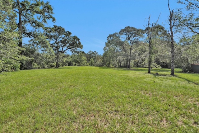 5614 Whipporwill Rd, Conroe, TX 77303 - view of green lawn