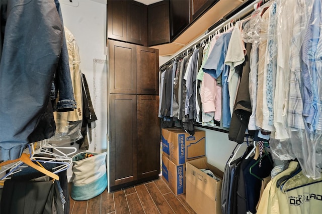 17040 Shy Leaf Ct, Conroe, TX 77385 - walk in closet with dark wood-style flooring